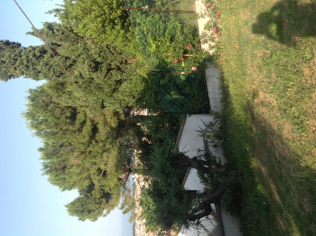 B&B Villa Aersa Montesilvano Marina Buitenkant foto